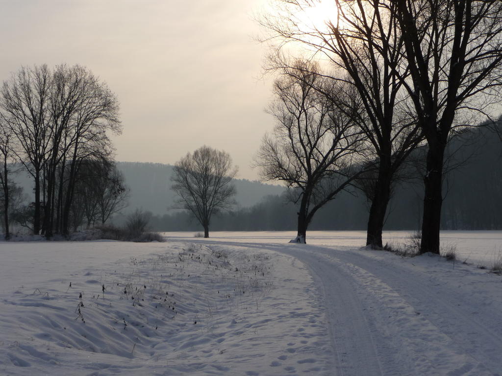 Saaletal Pension & Ferienwohnungen Bad Bocklet Exteriér fotografie